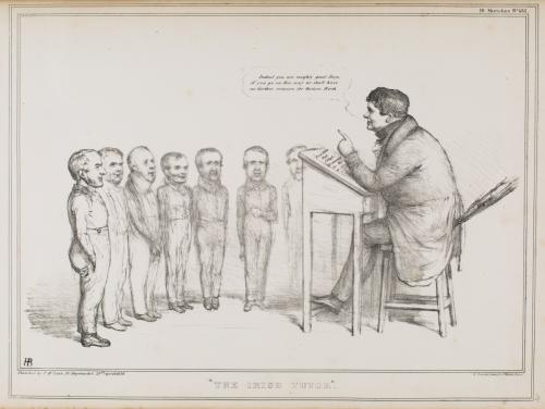 The Irish Tutor
