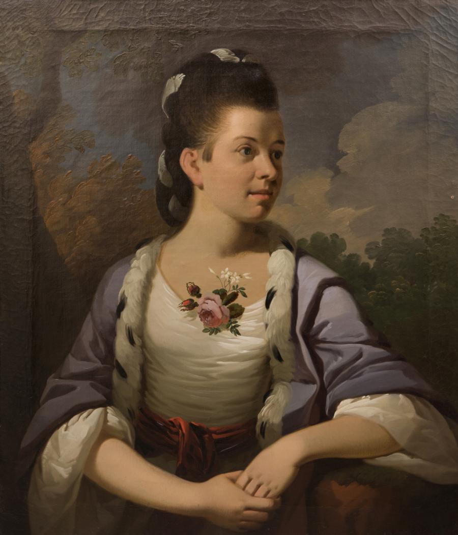 Portrait of a Young Lady