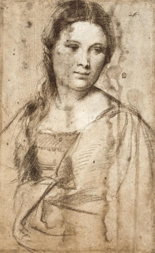 Portrait of a Young Woman
