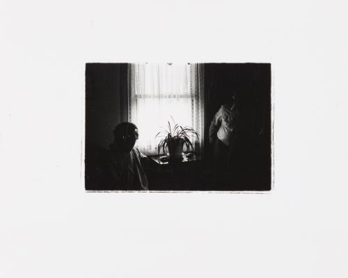 Untitled (Dark Image of Elderly Couple with Plant in front of Window)