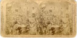 Keystone View Co.