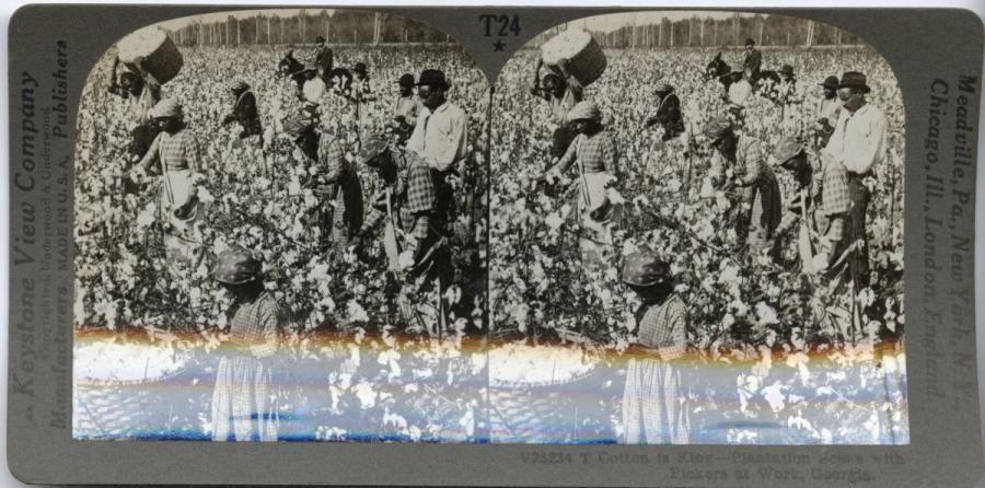 Cotton is King -- Plantation Scene, Georgia