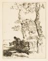Edmund Blampied