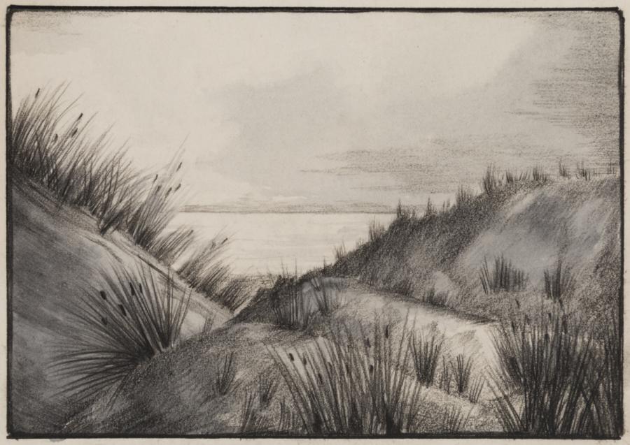 Marram Grass on Sand Dunes